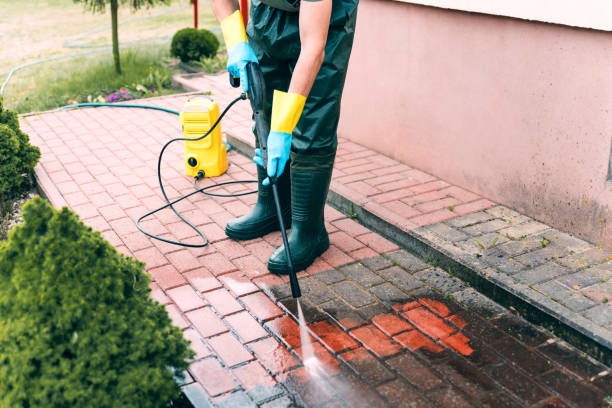 Best Patio and Deck Pressure Washing  in Pearl Beach, MI